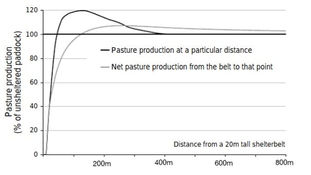 When shelterbelts are less than 400m away, pasture production increases. Source: Research paper by Bird (1998)