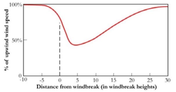 Rowan Reid, the University of Melbourne in 2013, shows how shelterbelts reduce wind speeds.
