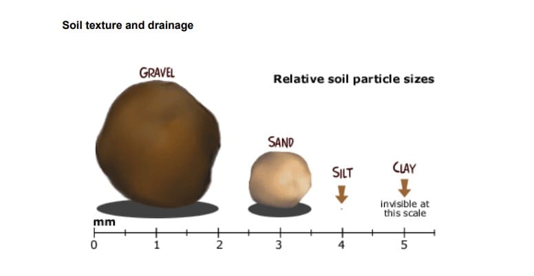 Understanding dairy effluent systems soil impact with texture and drainage.