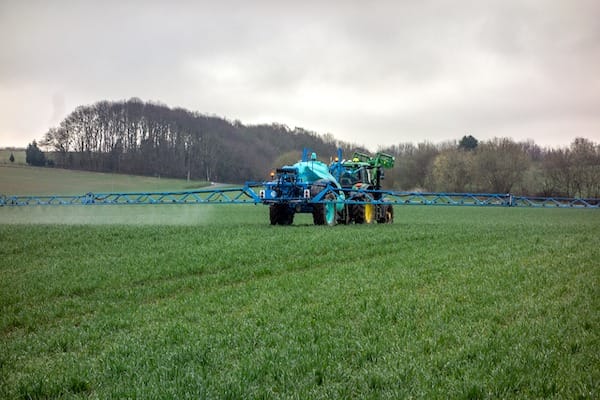 Spraying can be an effective weed control measure.