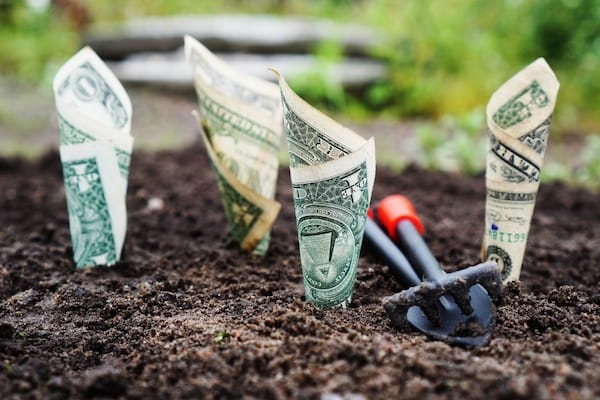 Dairy farming can be highly lucrative with high profit margins to be had.