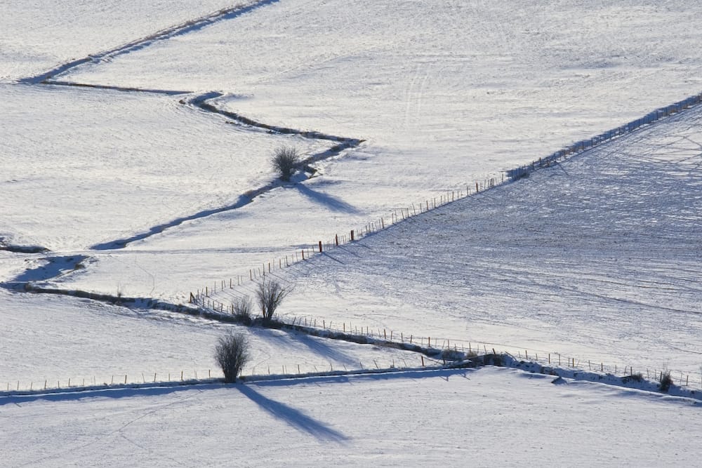 A simple fence used to cordon off daily pasture allocation.