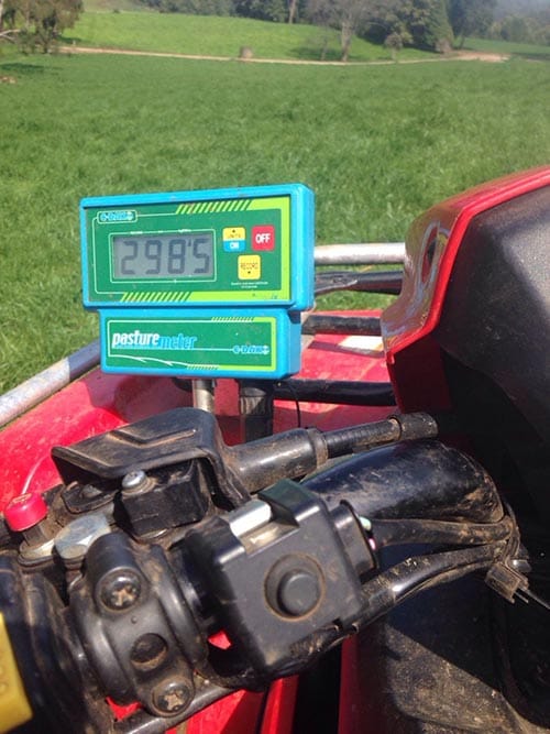 C-Dax pasture meter measuring pasture with the old console showing kilograms of dry matter per hectare.