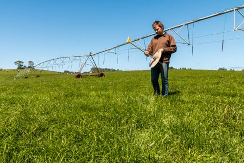 Our founder, Oliver on his family dairy farm taking a pasture measurement with the rising plate meter