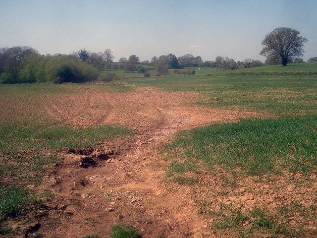 Differences in plant growth under the same conditions, with and without fertilizers