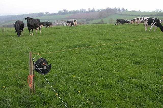 A single wire fence is all you would need to keep well-trained cows within a particular grazing area