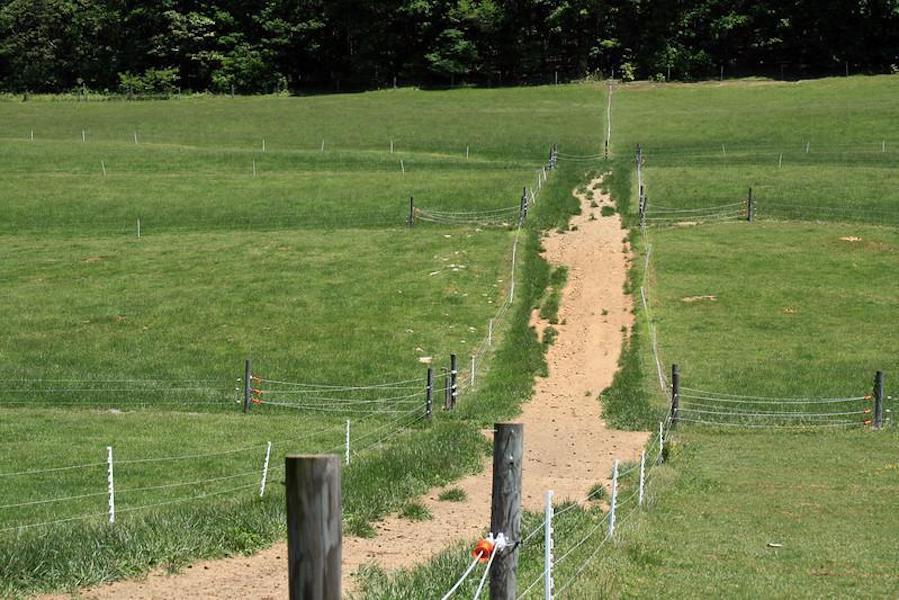 An example of how a pasture is divided into equal-sized paddocks for rotational grazing
