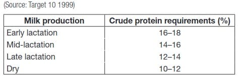 Target 10 milk production vs crude protein requirements for lactating and dry cows