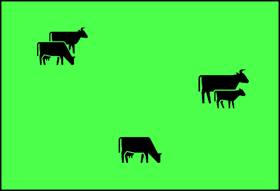 Do you know the impact on pasture utilisation with continual grazing?