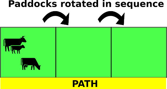 Do you follow a sequence or the path of rotational grazing for higher farm profit?