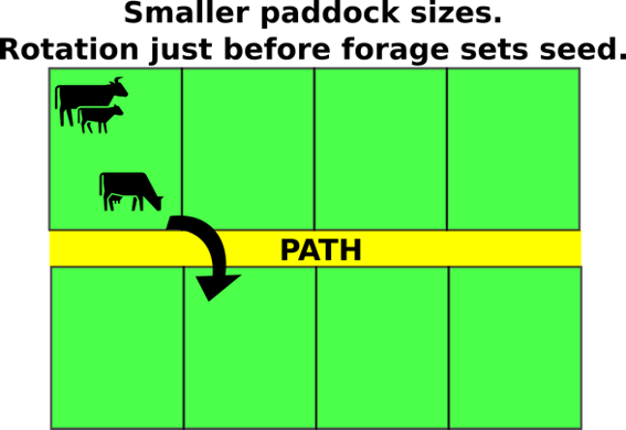 Cell grazing has many benefits such as improving your pasture or enhancing the environment.