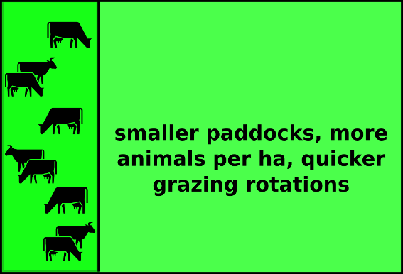 Mob grazing needs careful management to reduce the risk of soil compaction and other adverse consequences.