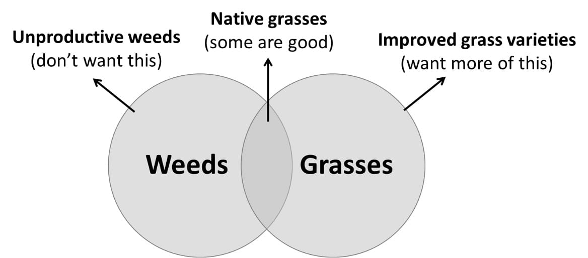 Pasture management image 1