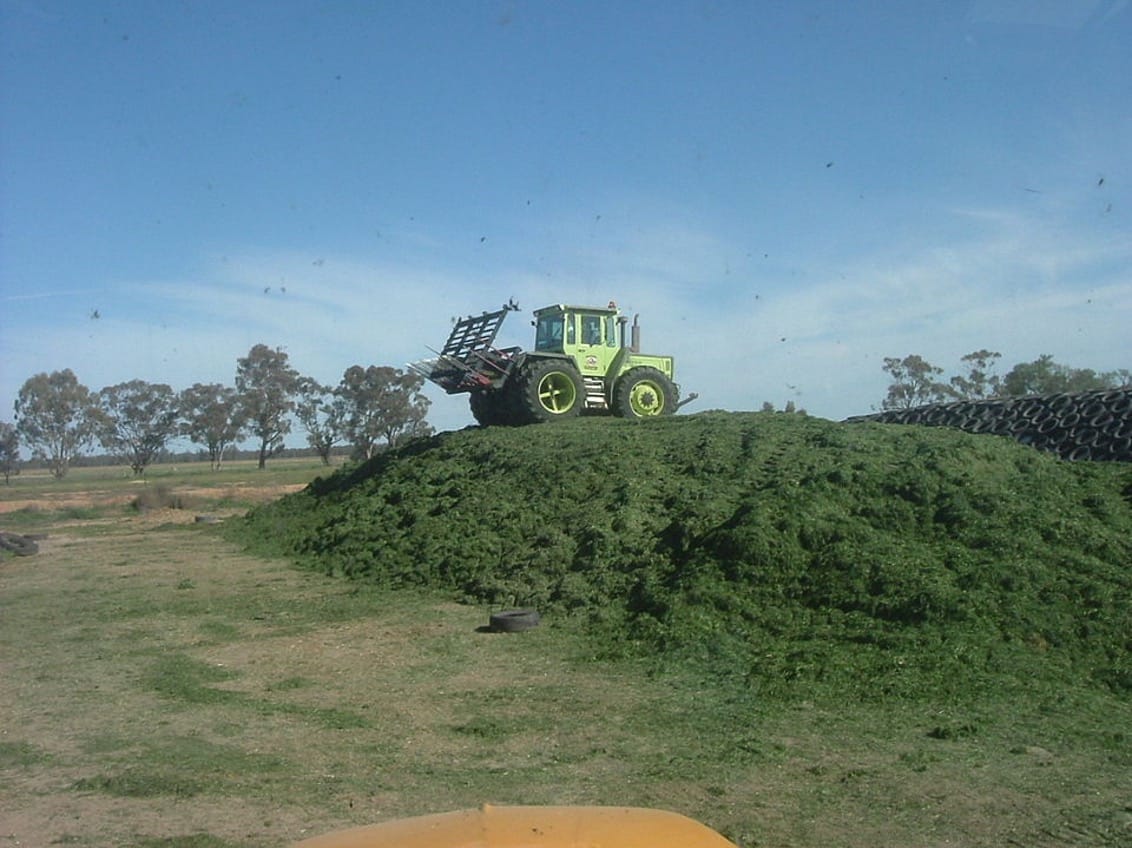 Pasture management storing silage image 4