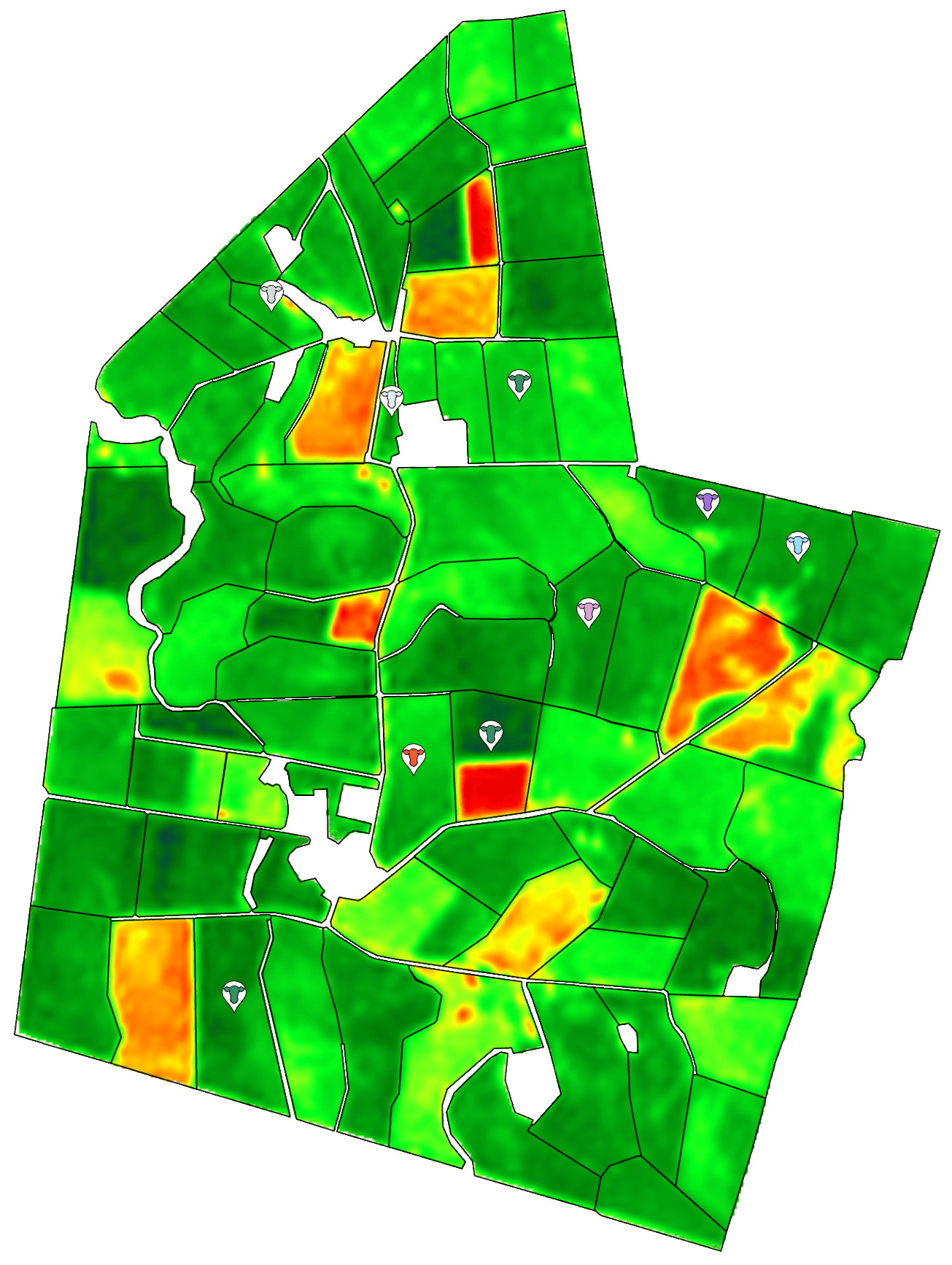 Satellite index map used to track pasture growth and support grazing decisions on Amanda Benson's farm