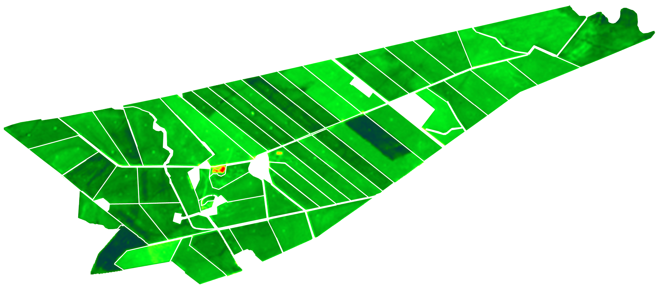 NDVI satellite image