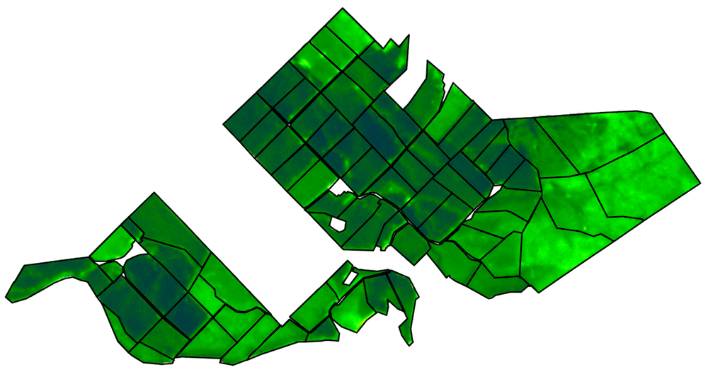 NDVI satellite image