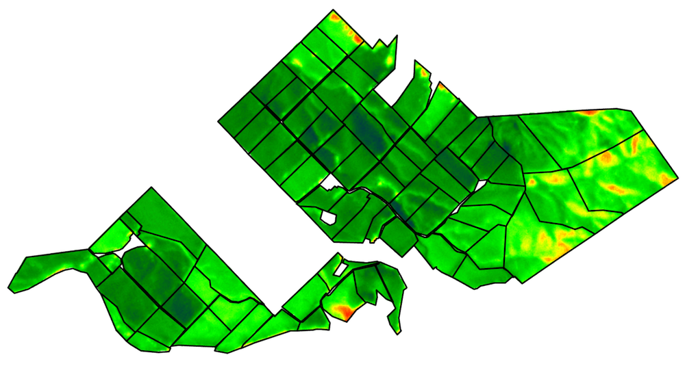 SAVI satellite image