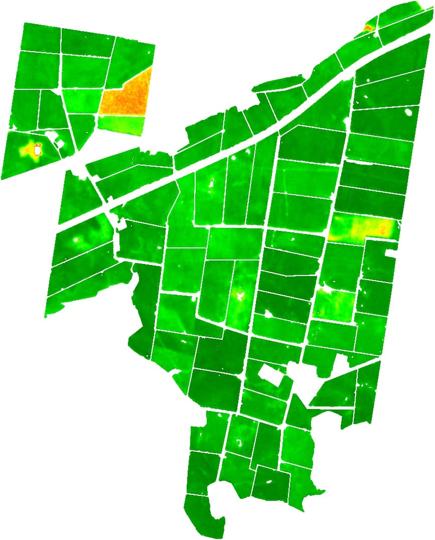 NDVI satellite image