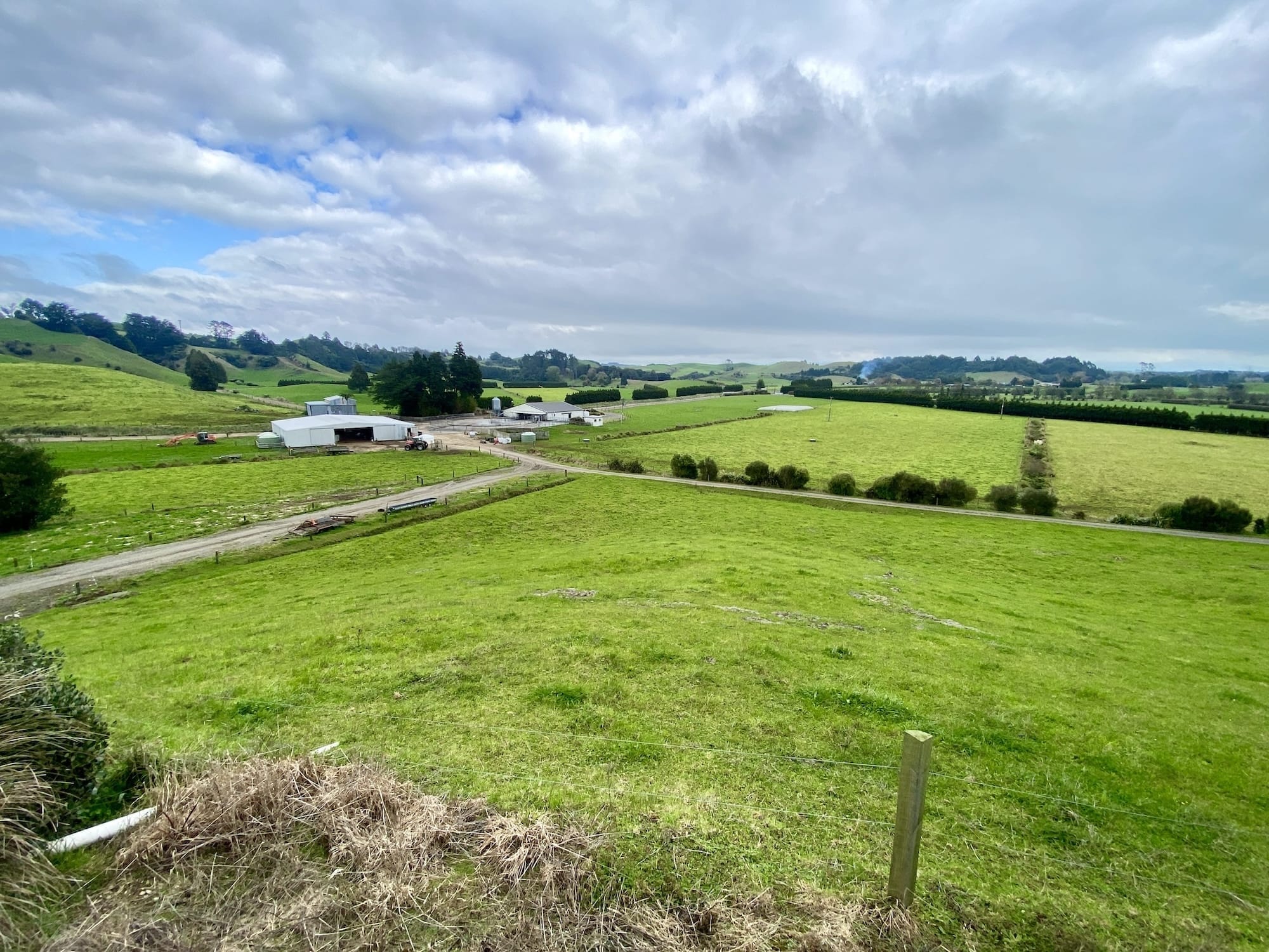 Logan Haynes dairy farm at Ratapiko in Taranaki, New Zealand