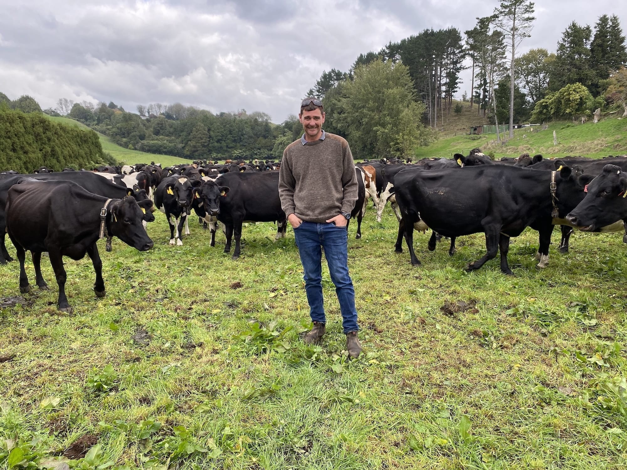 Logan Haynes with his dairy herd in Taranaki, New Zealand