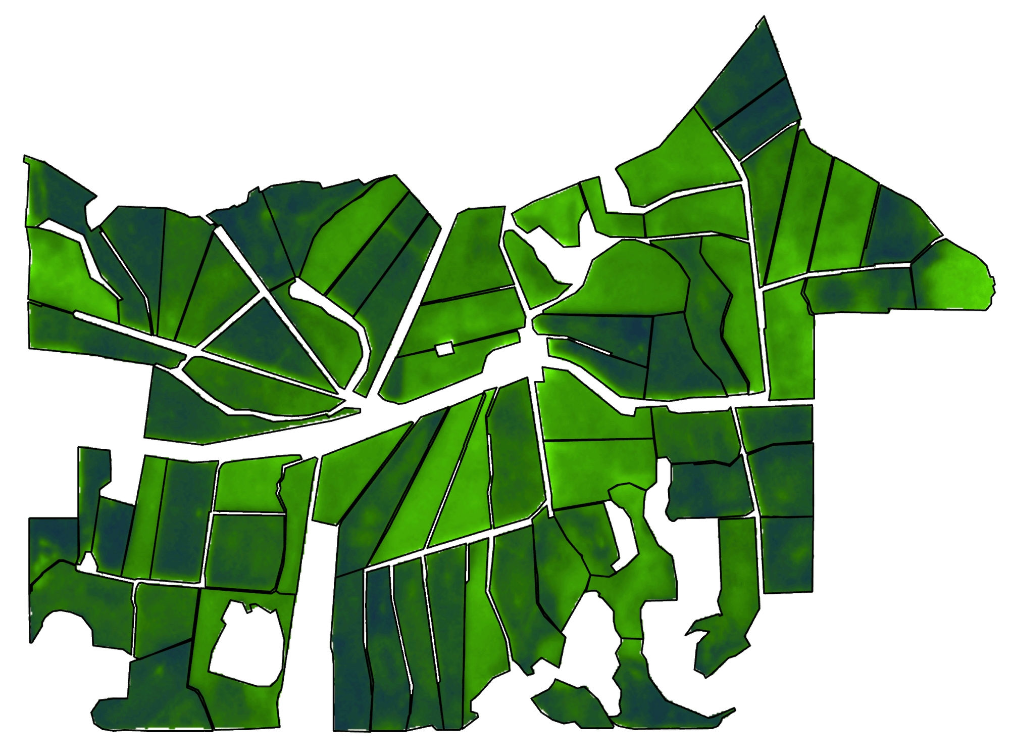NDVI satellite image used on Logan Haynes' dairy farm