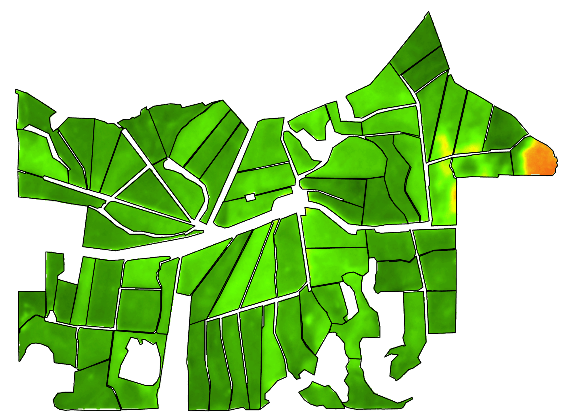 SAVI satellite image used on Logan Haynes' dairy farm