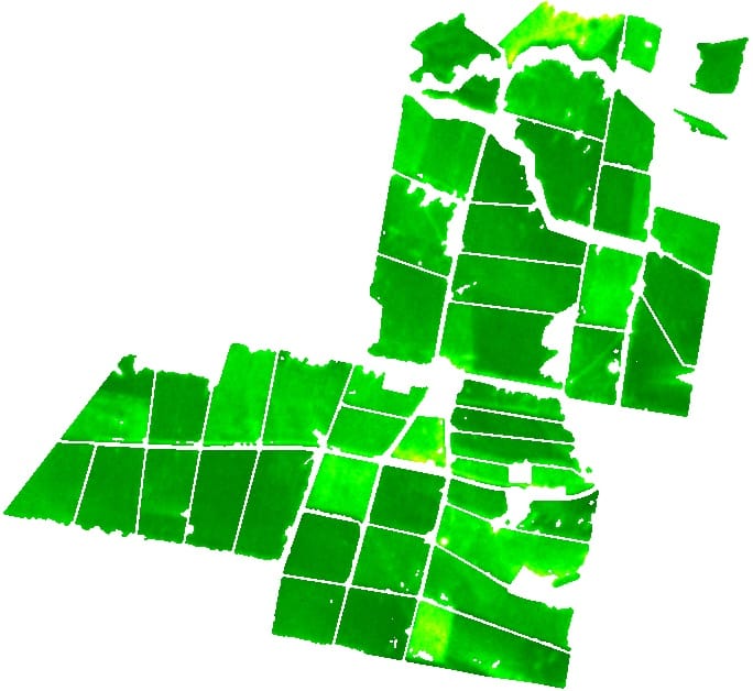NDVI satellite image