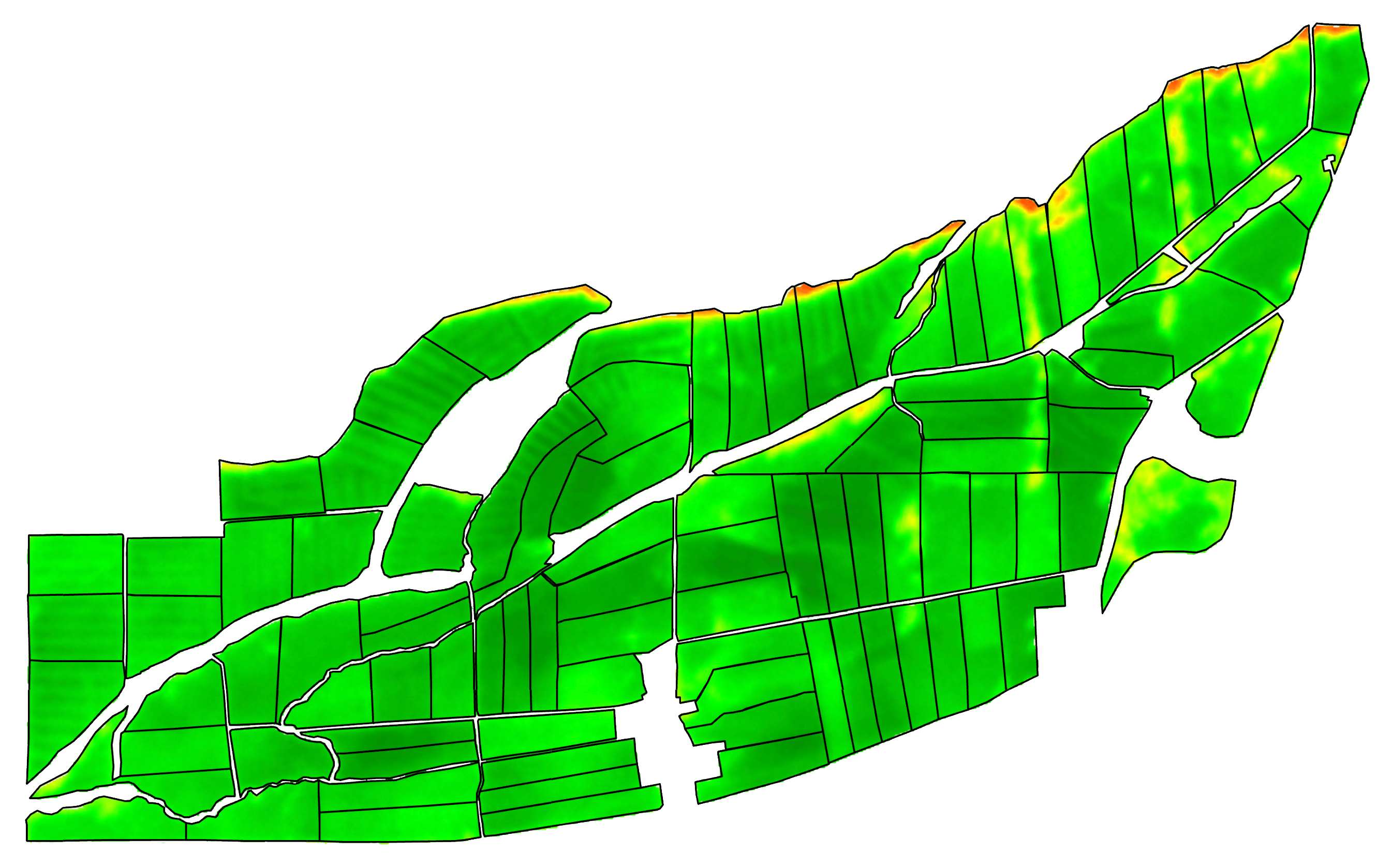 SAVI satellite index map of the Yates family dairy farm in Karamea, New Zealand